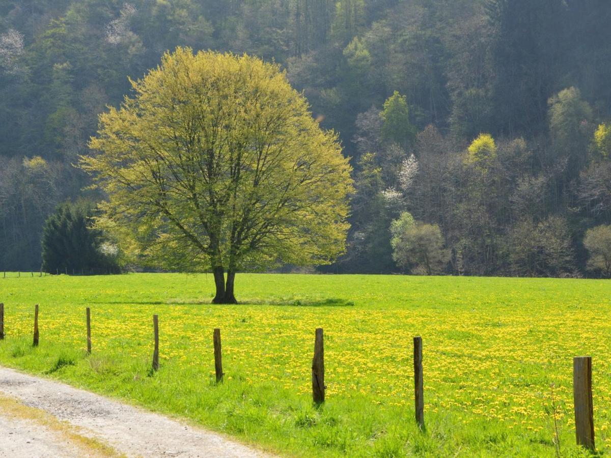 Cozy Holiday Home Near The Forest In Bovigny Gouvy Luaran gambar